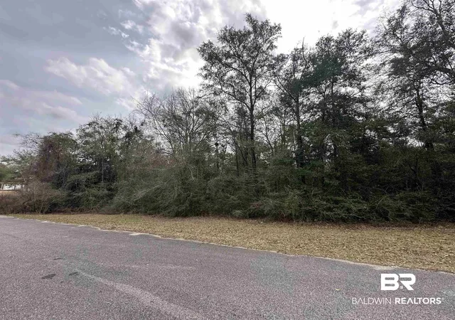 Photo 3 of Land for sale at 0 Timber Springs Dr, Wilmer, AL 36587 | MLS# 390629 | Listing updated on 2026-07-28