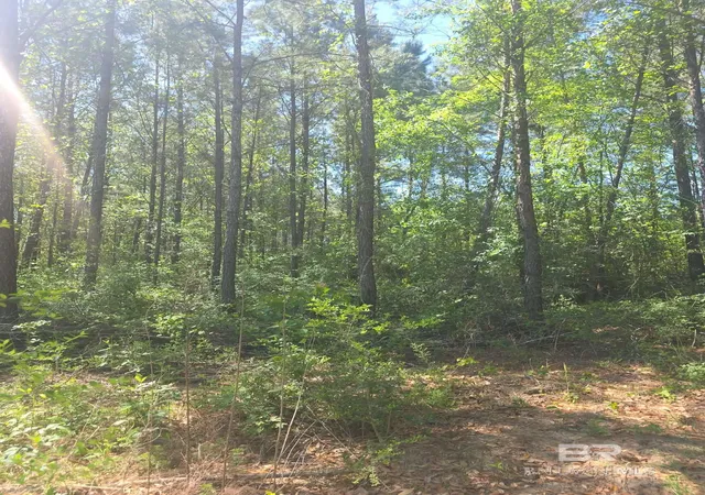 Homes for sale in Seminole, AL | 0 Smallwood Lane, Seminole, AL 36574 | MLS# 395438