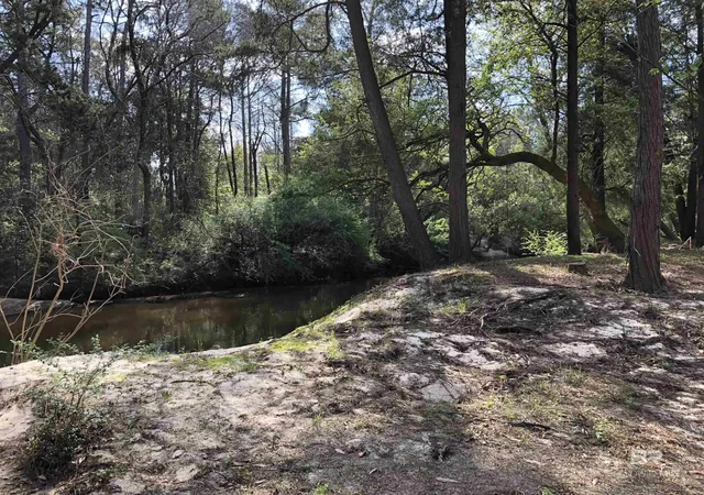 Homes for sale in Robertsdale, AL | 21305 River Road, Robertsdale, AL 36567 | MLS# 398672
