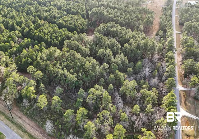 Photo 28 of Land for sale at 0 Hemley Rd, Coden, AL 36523 | MLS# 399053 | Listing updated on 2026-08-06