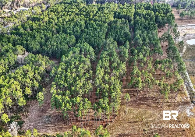 Photo 2 of Land for sale at 0 Hemley Rd, Coden, AL 36523 | MLS# 399053 | Listing updated on 2026-08-06