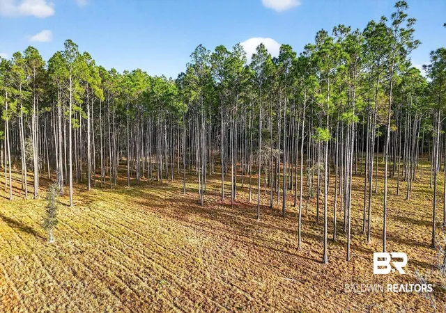 Photo 2 of Land for sale at 0 Hemley Rd, Coden, AL 36523 | MLS# 399053 | Listing updated on 2026-08-06