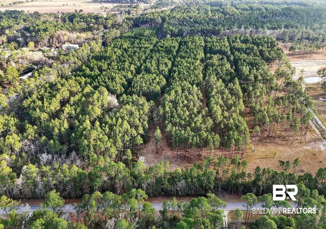 Photo 3 of Land for sale at 0 Hemley Rd, Coden, AL 36523 | MLS# 399053 | Listing updated on 2026-08-06