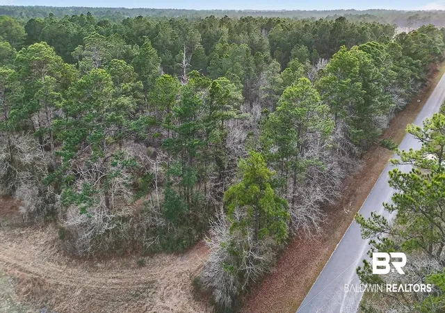 Photo 4 of Land for sale at 0 Hemley Rd, Coden, AL 36523 | MLS# 399053 | Listing updated on 2026-08-06