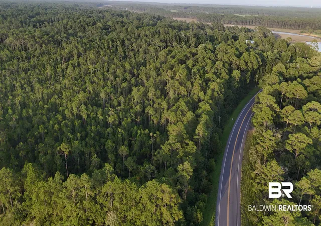 Photo 2 of Land for sale at 00 Highway 188, Coden, AL 36523 | MLS# 398575 | Listing updated on 2026-07-24