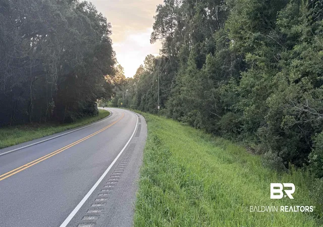 Photo 37 of Land for sale at 00 Highway 188, Coden, AL 36523 | MLS# 398575 | Listing updated on 2026-07-24