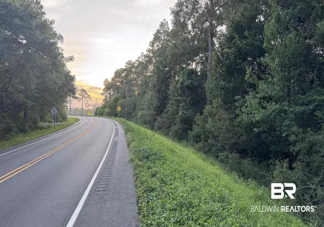 Photo 3 of Land for sale at 00 Highway 188, Coden, AL 36523 | MLS# 398575 | Listing updated on 2026-07-24