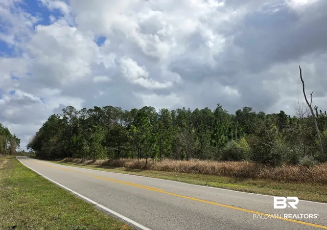 1st image of 0 Henry Davis Rd, Chunchula, AL 36521 | MLS# 393455