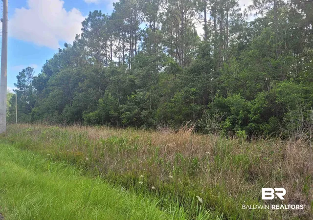 Photo 1 of Land for sale at 0 Bellingrath Rd, Theodore, AL 36582 | MLS# 407148 | Listing updated on 2026-08-10
