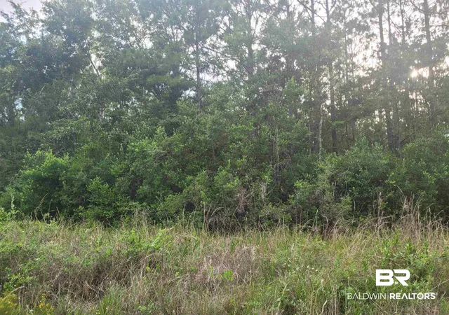 Photo 2 of Land for sale at 0 Bellingrath Rd, Theodore, AL 36582 | MLS# 407148 | Listing updated on 2026-08-10