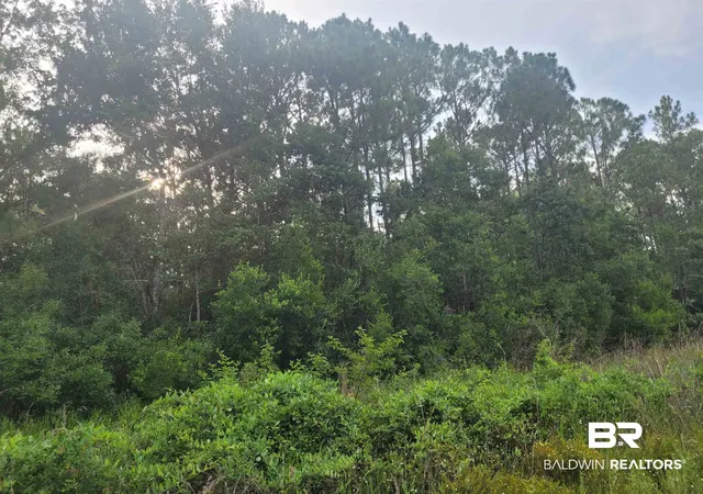 Photo 2 of Land for sale at 0 Bellingrath Rd, Theodore, AL 36582 | MLS# 407148 | Listing updated on 2026-08-10