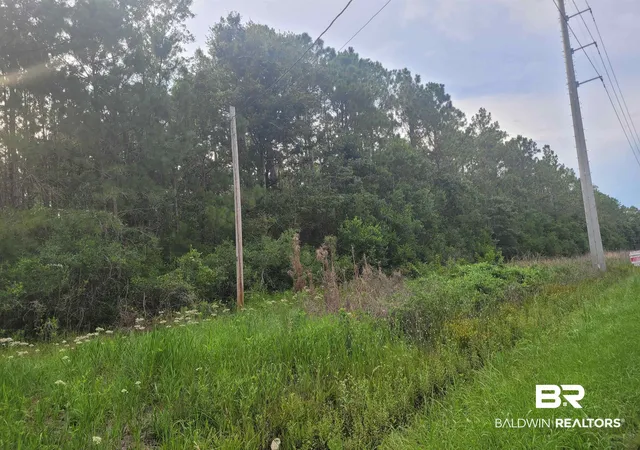 Photo 3 of Land for sale at 0 Bellingrath Rd, Theodore, AL 36582 | MLS# 407148 | Listing updated on 2026-08-10