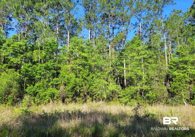 Photo 4 of Land for sale at 0 Bellingrath Rd, Theodore, AL 36582 | MLS# 407148 | Listing updated on 2026-08-10