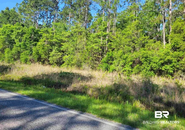 Photo 6 of Land for sale at 0 Bellingrath Rd, Theodore, AL 36582 | MLS# 407148 | Listing updated on 2026-08-10