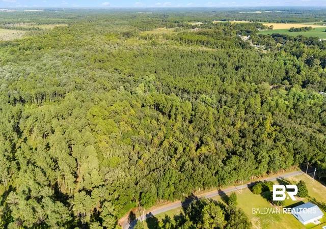 21st image of 0 Downing Rd #A, Summerdale, AL 36580 | MLS# 407276
