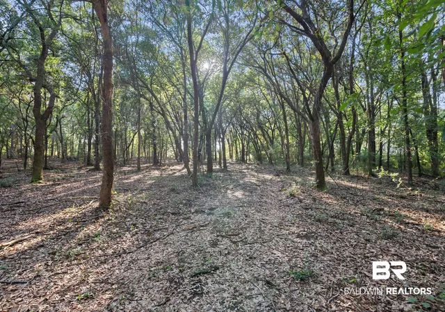 2nd image of 0 Downing Rd #A, Summerdale, AL 36580 | MLS# 407276