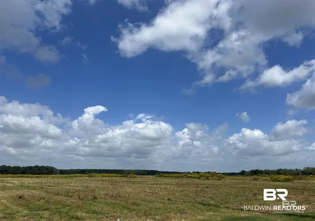 Photo 3 of Land for sale at 0 County Rd 26 Lot, Foley, AL 36535 | MLS# 399261 | Listing updated on 2026-09-11