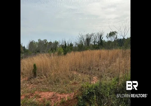 Photo 3 of Land for sale at 3740 Latigo Rd, Mobile, AL 36695 | MLS# 377000 | Listing updated on 2026-09-08