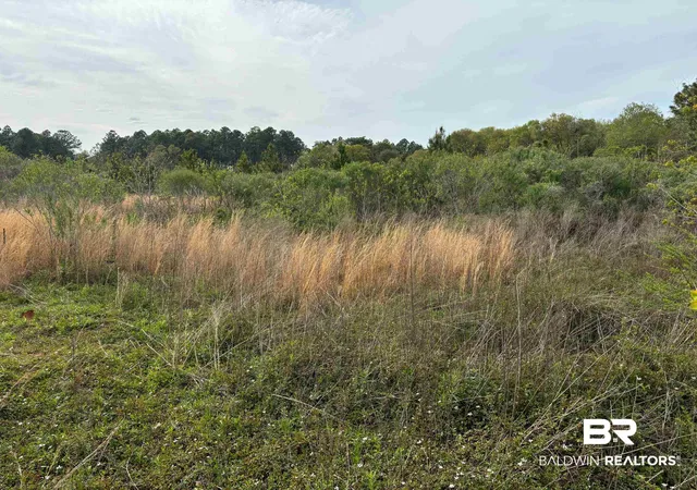 Photo 4 of Land for sale at 3740 Latigo Rd, Mobile, AL 36695 | MLS# 377000 | Listing updated on 2026-09-08