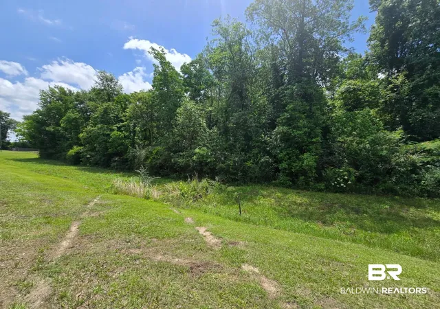 2nd image of 0 Hwy 31, Brewton, AL 36426 | MLS# 400132
