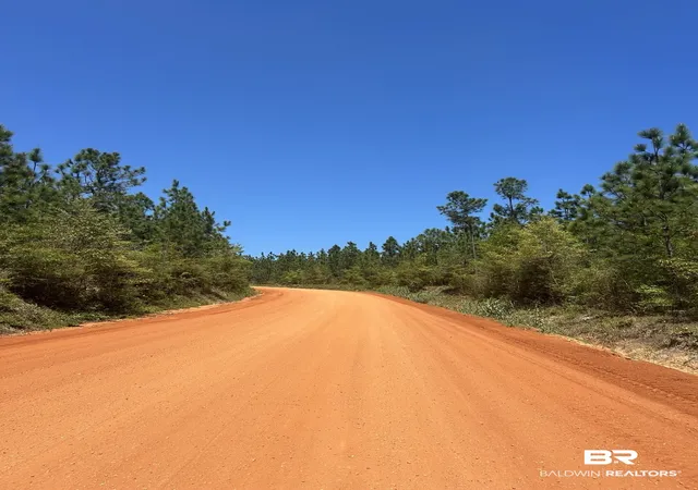 1st image of 0 Hwy 168, Century, FL 32535 | MLS# 409310