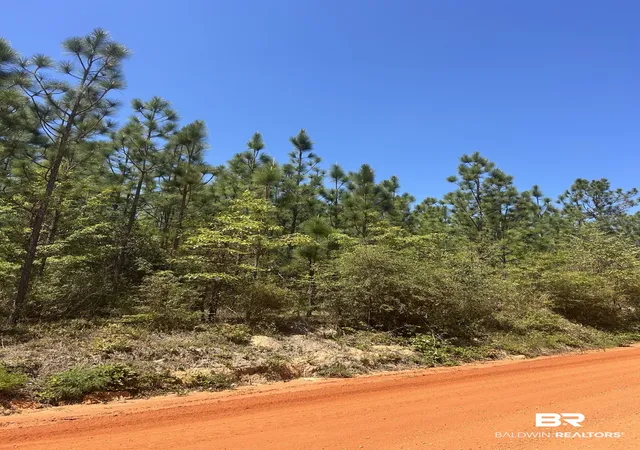 2nd image of 0 Hwy 168, Century, FL 32535 | MLS# 409310