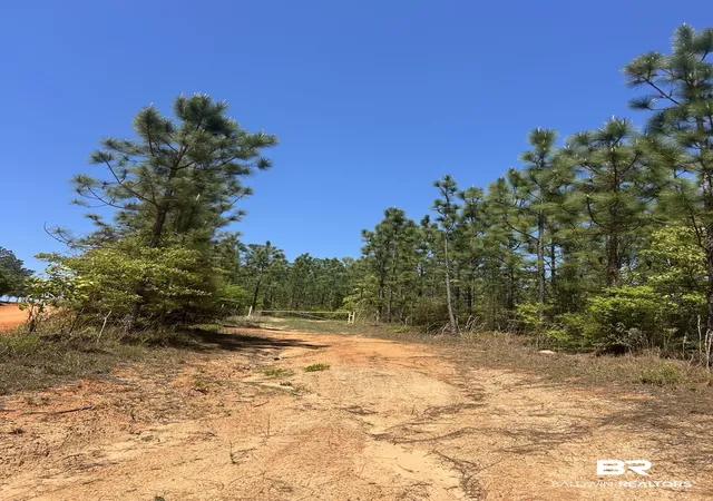 Photo 3 of Land for sale at 0 Hwy 168, Century, FL 32535 | MLS# 409310 | Listing updated on 2026-08-25
