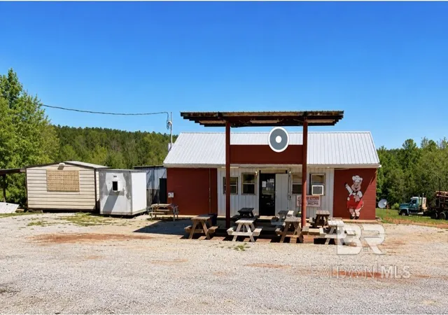 Homes for sale in Mc Kenzie, AL | 190 County Road 107, Mc Kenzie, AL 36456 | MLS# 378029