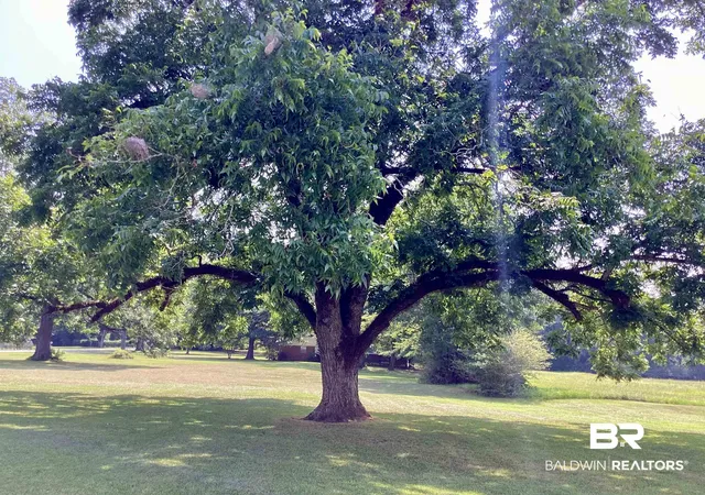 50th image of 3379 Joe Reeves Road, Castleberry, AL 36432 | MLS# 400003
