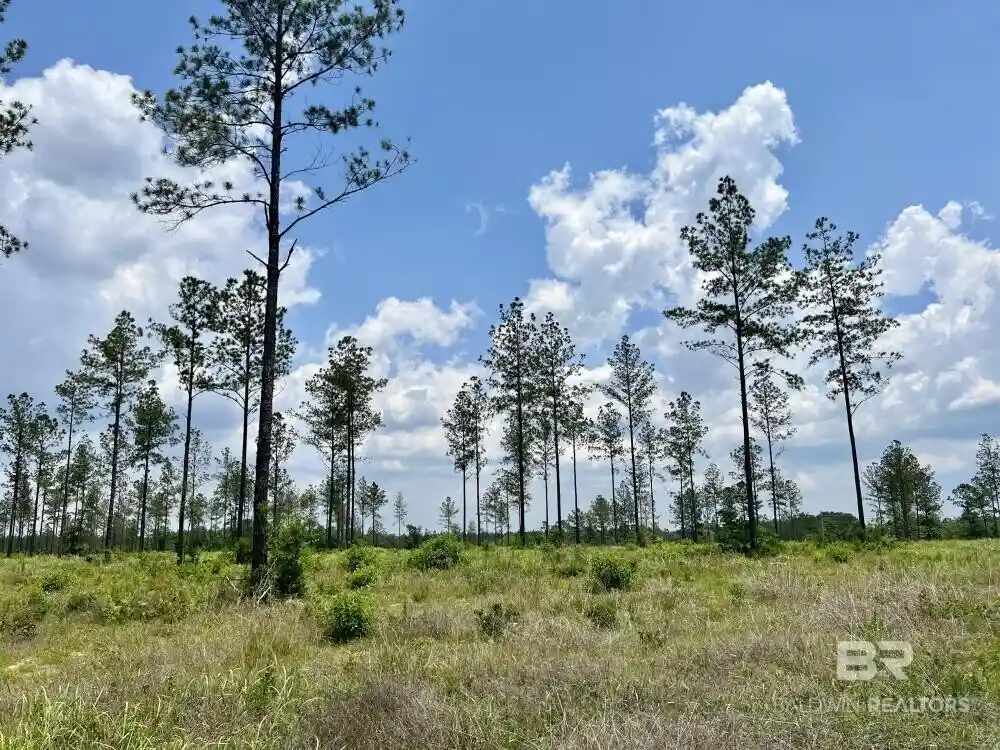 Land for sale at 0 County Rd 64, Robertsdale, AL 36567 | MLS# 412074