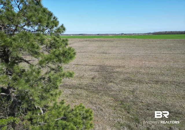 Photo 2 of Land for sale at 5400 Blk Rockaway Crk Rd, Mc David, FL 32568 | MLS# 391571 | Listing updated on 2026-08-26