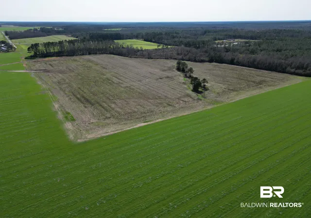 Photo 3 of Land for sale at 5400 Blk Rockaway Crk Rd, Mc David, FL 32568 | MLS# 391571 | Listing updated on 2026-08-26