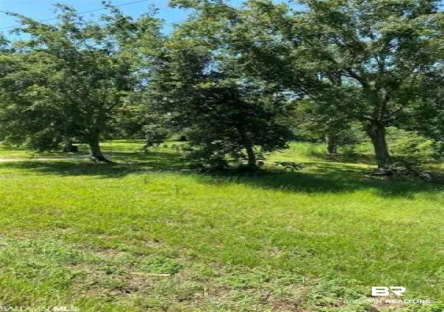 Photo 3 of Land for sale at 18513 County Rd 12, Foley, AL 36535 | MLS# 382507 | Listing updated on 2026-08-02