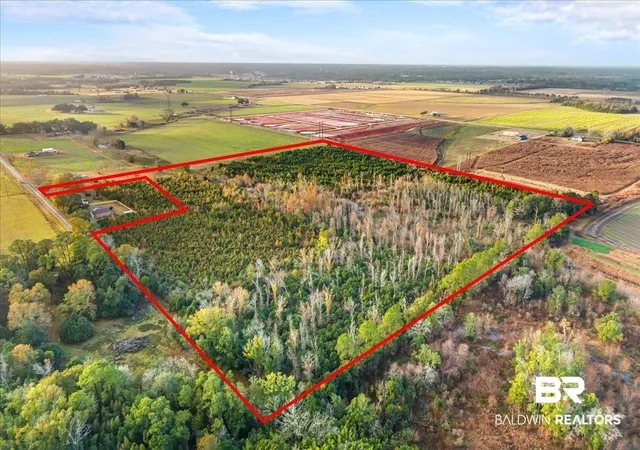 Photo 2 of Land for sale at 0 S County Rd 48, Robertsdale, AL 36567 | MLS# 389119 | Listing updated on 2026-08-02