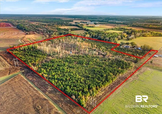Photo 3 of Land for sale at 0 S County Rd 48, Robertsdale, AL 36567 | MLS# 389119 | Listing updated on 2026-08-02