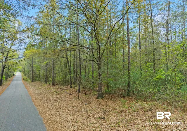 2nd image of 0 Tom Shivers Rd, Flomaton, AL 36441 | MLS# 396776