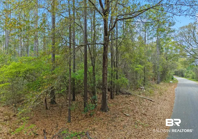 Photo 3 of Sale Pending at 0 Tom Shivers Rd, Flomaton, AL 36441 | MLS# 396776 | Listing updated on 2026-08-04