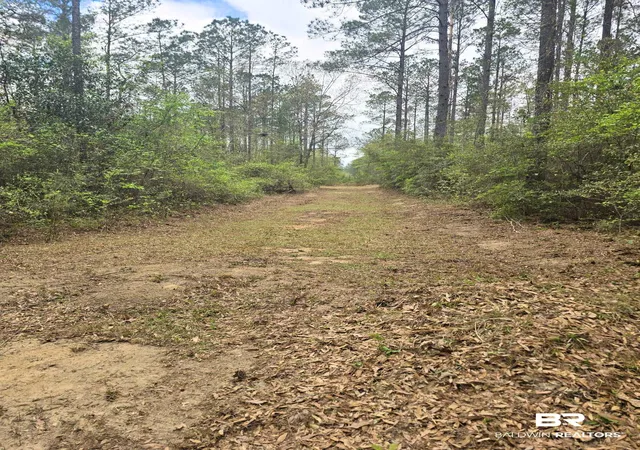 Photo 4 of Sale Pending at 0 Tom Shivers Rd, Flomaton, AL 36441 | MLS# 396776 | Listing updated on 2026-08-04