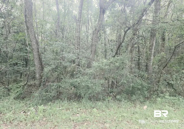 Photo 2 of Land for sale at 03 Two Mile Rd, Irvington, AL 36544 | MLS# 409999 | Listing updated on 2026-08-31