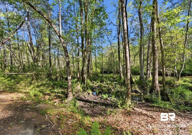 Photo 2 of Land for sale at 4532 Cypress Park Dr, Mobile, AL 36619 | MLS# 395089 | Listing updated on 2026-08-25