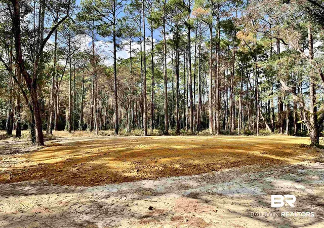 Photo 1 of Land for sale at 0 Bay Road, Foley, AL 36535 | MLS# 388131 | Listing updated on 2026-08-06