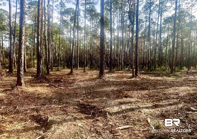 Photo 2 of Land for sale at 0 Bay Road, Foley, AL 36535 | MLS# 388131 | Listing updated on 2026-08-06