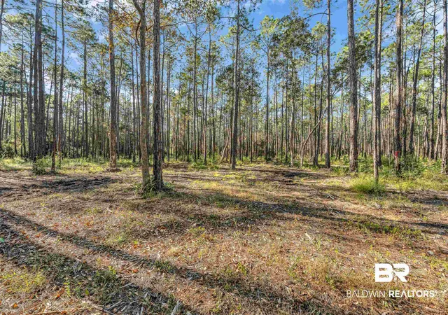 Photo 3 of Land for sale at 0 Bay Road, Foley, AL 36535 | MLS# 388131 | Listing updated on 2026-08-06