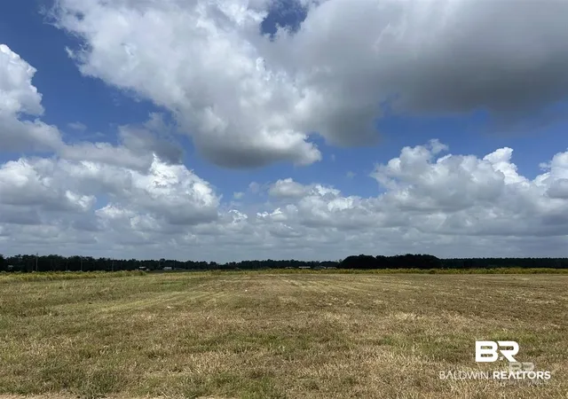 Photo 3 of Land for sale at 0 County Rd 65 Lot, Foley, AL 36535 | MLS# 399249 | Listing updated on 2026-09-11
