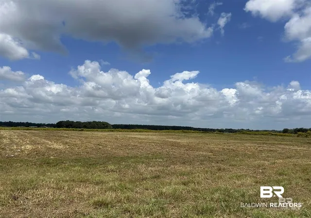 Photo 4 of Land for sale at 0 County Rd 65 Lot, Foley, AL 36535 | MLS# 399249 | Listing updated on 2026-09-11