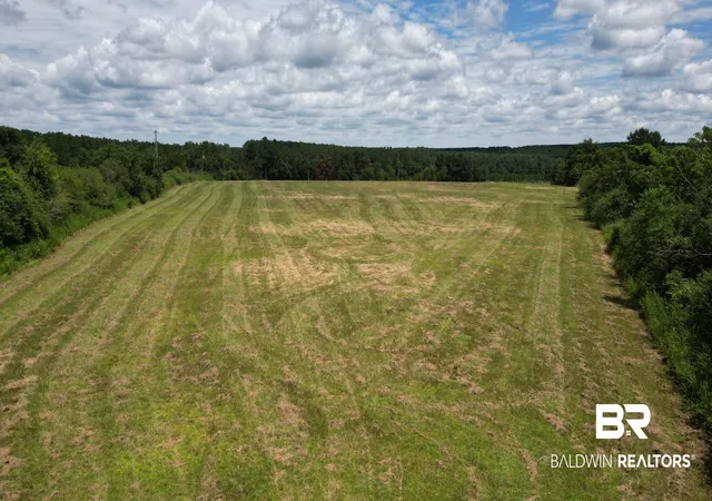 Photo 4 of Land for sale at 24630 Kimbler Rd, Robertsdale, AL 36567 | MLS# 407368 | Listing updated on 2026-09-15
