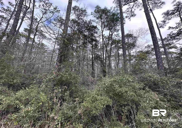 24th image of 1112 Nanafalya Pl, Dauphin Island, AL 36528 | MLS# 374588