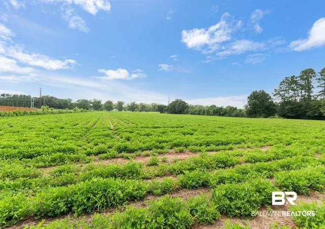 Photo 1 of Sale Pending at 21379 West Blvd, Silverhill, AL 36576 | MLS# 398867 | Listing updated on 2026-08-21