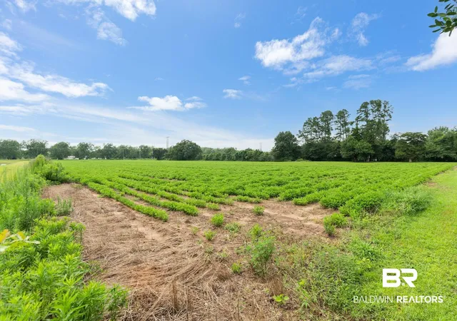 Photo 3 of Sale Pending at 21379 West Blvd, Silverhill, AL 36576 | MLS# 398867 | Listing updated on 2026-08-21