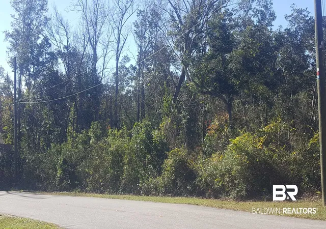 Photo 1 of Land for sale at 2062 Clubhouse Dr, Lillian, AL 36549 | MLS# 339865 | Listing updated on 2026-10-07